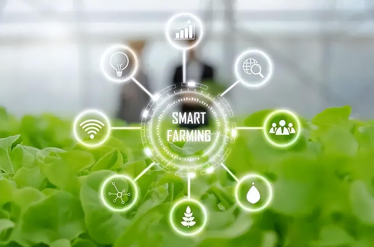 智慧農(nóng)業(yè)物聯(lián)網(wǎng)的未來(lái)在哪里？